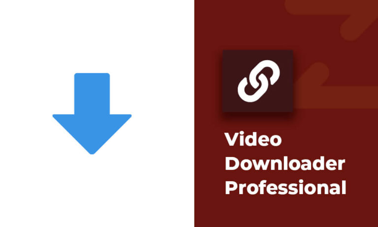 Video downloader professional chrome как пользоваться